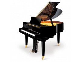Piano Ritmuller R9