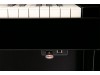 Đàn piano điện Roland HP-507