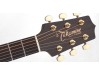 Đàn guitar Takamine EG340SC