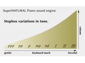 Công nghệ SuperNATURAL Piano của đàn pian điện Roland